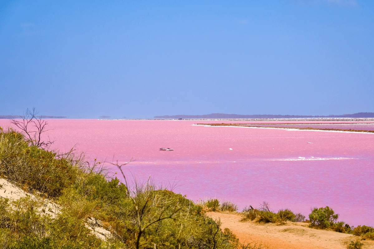 Un lac rose en Australie – le lac Hillier