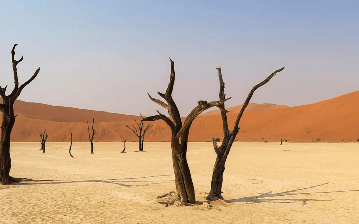 Les choses intéressantes à faire pendant un voyage en Namibie