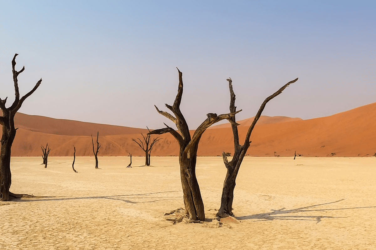 Les choses intéressantes à faire pendant un voyage en Namibie